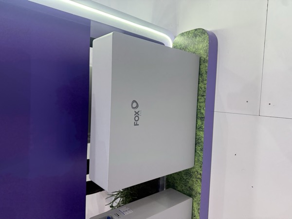 IMG_9699.HEIC FOX